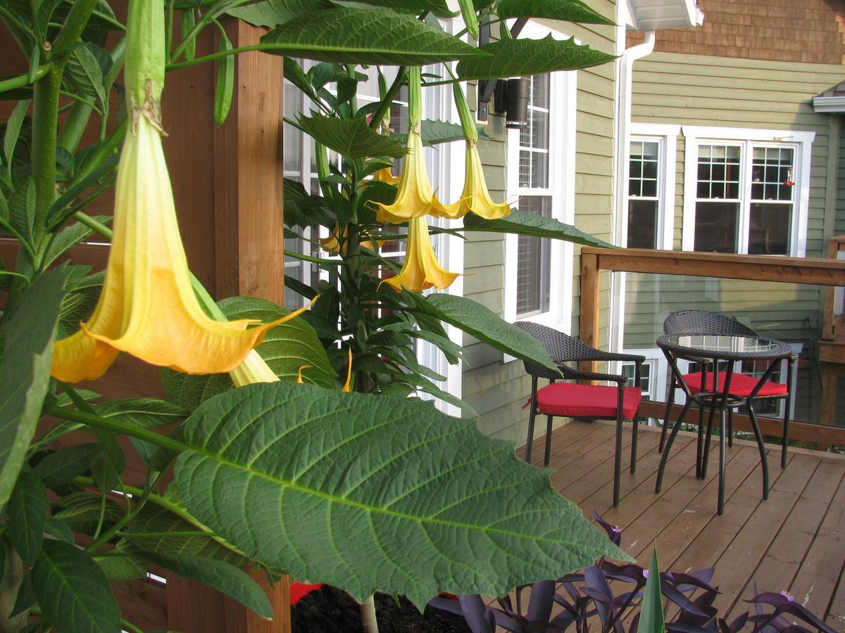Gi'Temps Couette Et Cafe B&B Granby Exterior photo